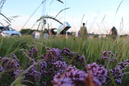 Второй спортивный Чемпионата ЦФО по воздухоплавательному спорту