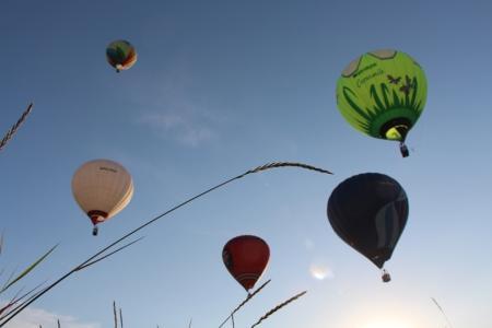 Второй спортивный Чемпионата ЦФО по воздухоплавательному спорту