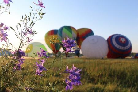 Завершение спортивной части Чемпионата ЦФО по воздухоплавательному спорту