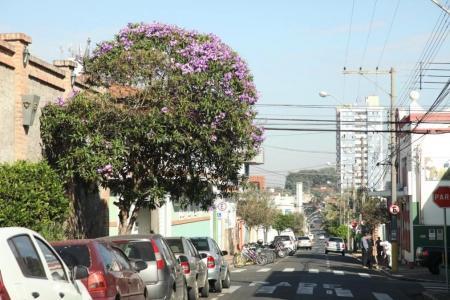 Чемпионат Мира 2014. Сообщения из Бразилии.