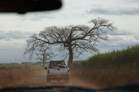 Чемпионат Мира 2014. Отбой полета и Церемония открытия.