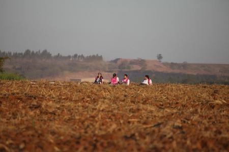 Чемпионат Мира 2014. Отмена утреннего полета 24.07.14