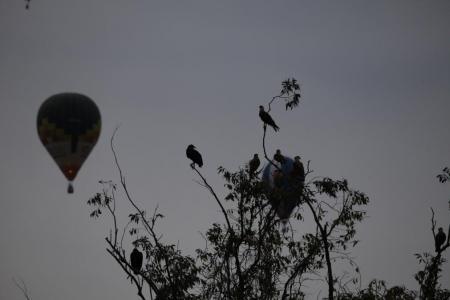 Чемпионат Мира 2014. Крайний спортивный полет