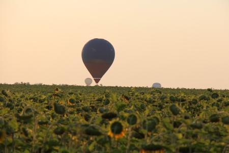 2-й межрегиональный патриотический аэрофестиваль «Небосвод Белогорья»