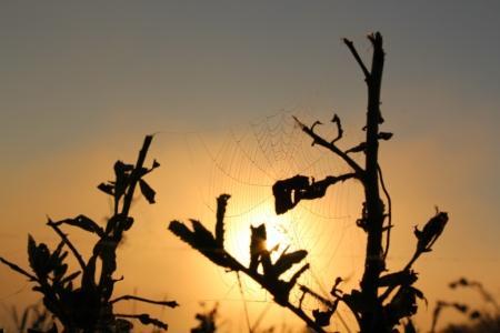 Небо России 2014. Утро четырнадцатого