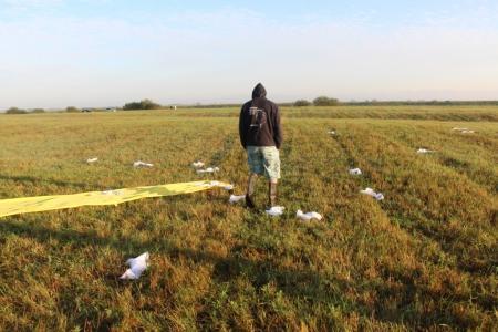 Небо России 2014. Утро четырнадцатого