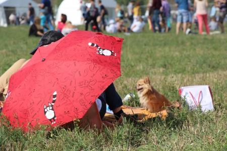 "Московское небо" 2014