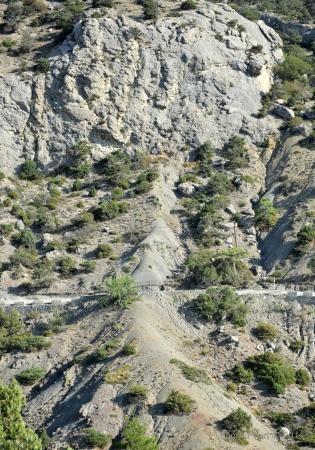 "Воздушное братство". Культурная программа.
