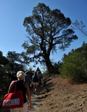 "Воздушное братство". Культурная программа.
