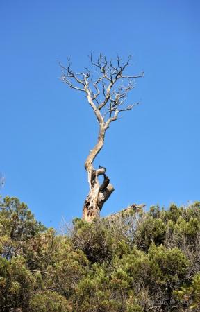 "Воздушное братство". Культурная программа.