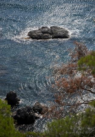 "Воздушное братство". Культурная программа.