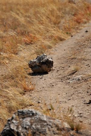 "Воздушное братство". Культурная программа.