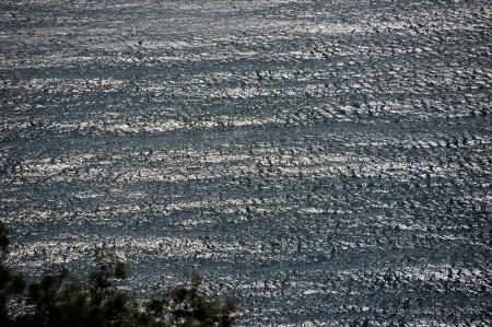 "Воздушное братство". Культурная программа.