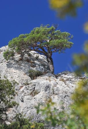 "Воздушное братство". Культурная программа.