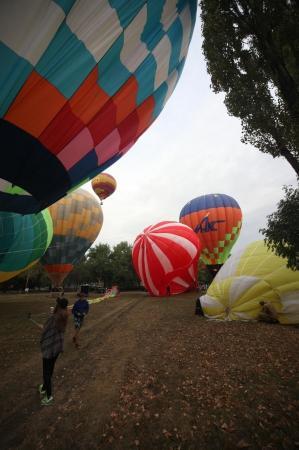 XVI Международный фестиваль воздухоплавания "Кавказские Минеральные Воды – жемчужина России 2014"