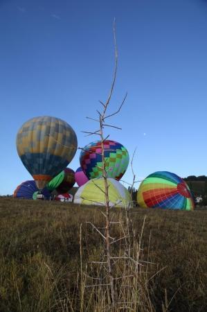 "Жемчужина России 2014", 4-й полет.