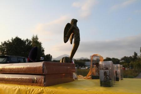 "Жемчужина России 2014", 6 полетов, 16 заданий, Маша победитель!