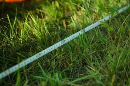 Разговор о судьях. Люди - самый ценный ресурс.