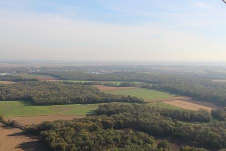 Шары по-немецки, шары по-французски...