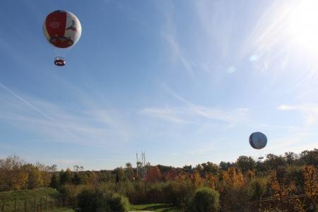 Шары по-немецки, шары по-французски...