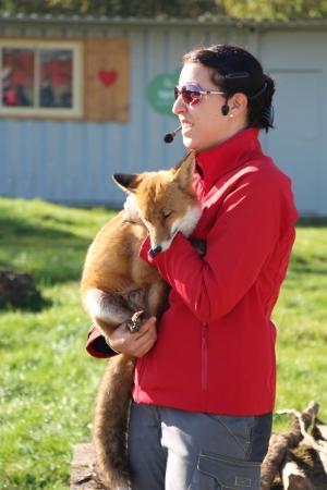 Шары по-немецки, шары по-французски...