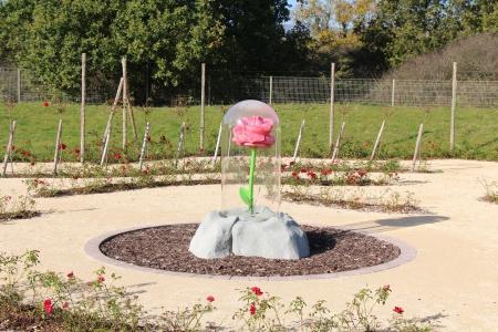 Шары по-немецки, шары по-французски...