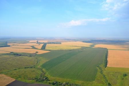 От подьячего Крякутного до нашего времени.