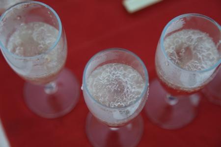 «Яблоки на снегу 2015» Фоторепортаж Николая Рябцева