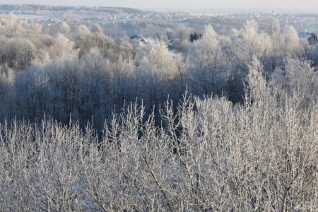 Тульский взгляд на "Яблоки на снегу". Фоторепортаж Константина Томенчука