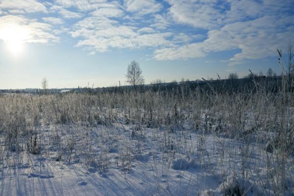 Мороз, солнце и аэростаты. Фоторепортаж Владимира Грекова с Рождественской фиесты "Яблоки на снегу"