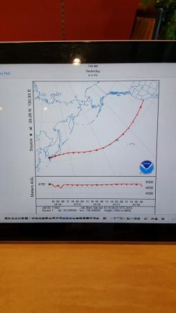 "Два орла". Суточная готовность.