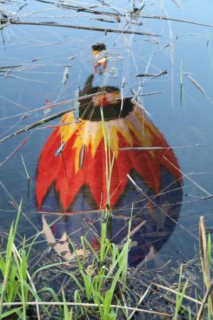 10-й ЧеМО. Третий полёт