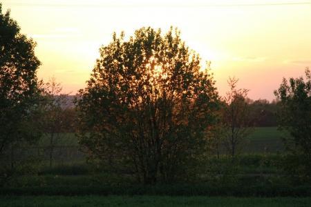 10-й ЧеМО. Третий полёт