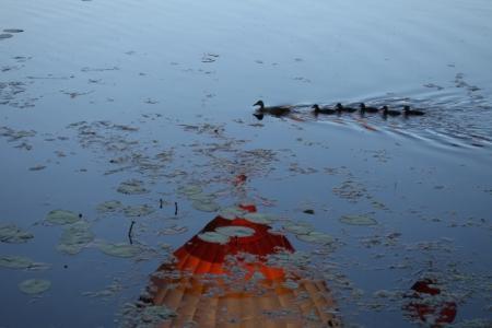 МВВвВЛ - 2015. Фоторепортаж с кей-граба