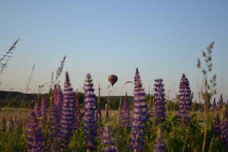 МВВвВЛ - 2015. Второй спортивный полёт