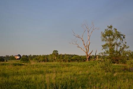 МВВвВЛ - 2015.  Полёт №4