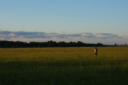 МВВвВЛ - 2015.  Идеальное утро 10 июня. Фоторепортаж