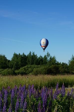 МВВвВЛ - 2015.  Идеальное утро 10 июня. Фоторепортаж