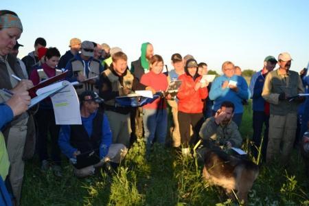 МВВвВЛ - 2015. 12 июня завершилась спортивная программа Встречи-2015