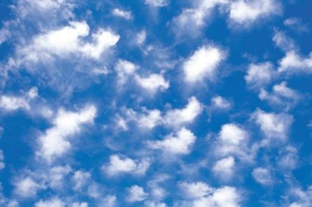 Выпуск 3. Понять небо. Волнистые обака