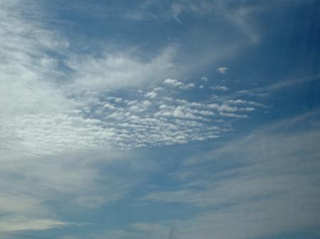 Выпуск 3. Понять небо. Волнистые обака