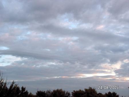 Выпуск 3. Понять небо. Волнистые обака