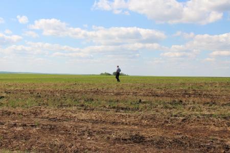 Белгород-2015. Чемпионат ЦФО.  Спортивная дирекция приступила к работе