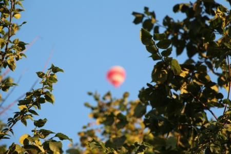 Белгород-2015. Чемпионат ЦФО. Состоялся первый спортивный полёт