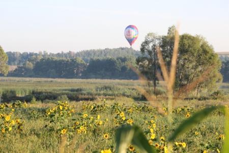 Белгород-2015. Чемпионат ЦФО.  Утро четвертого через объектив Валерии Пономаренко