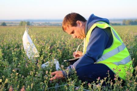 Белгород-2015. Чемпионат ЦФО. Четвертый спортивный полёт и промежуточные результаты соревнований (+фоторепортаж)