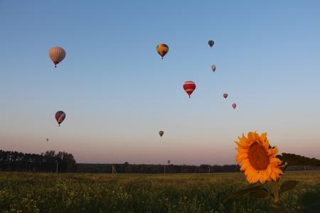 Белгород-2015. Чемпионат ЦФО. Предварительные итоги соревнований