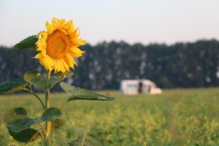 Белгород-2015. Чемпионат ЦФО. Предварительные итоги соревнований