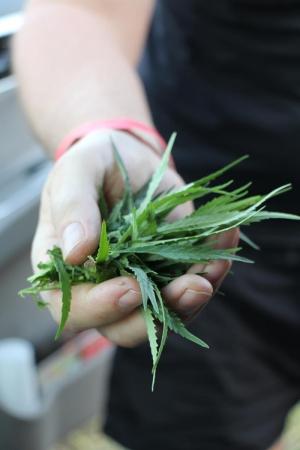 ЧЕ-2015. Итоги первого и подробности второго спортивного полёта