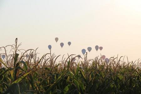 ЧЕ-2015. Итоги первого и подробности второго спортивного полёта